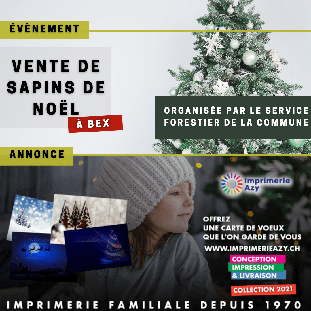Vente de sapins de Noël à Bex
