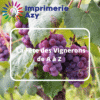 La Fête des Vignerons de A à Z