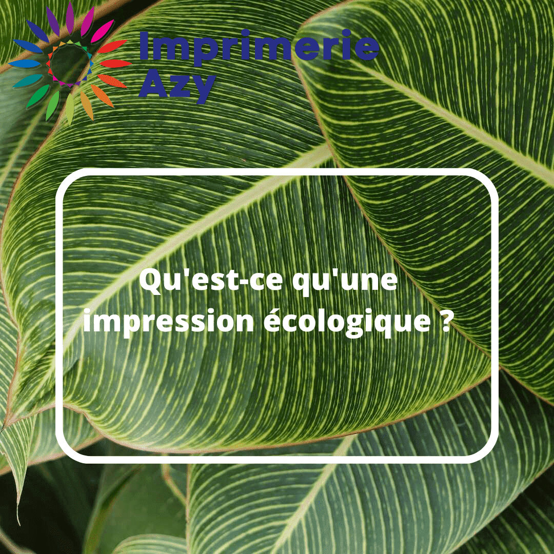 impression écologique