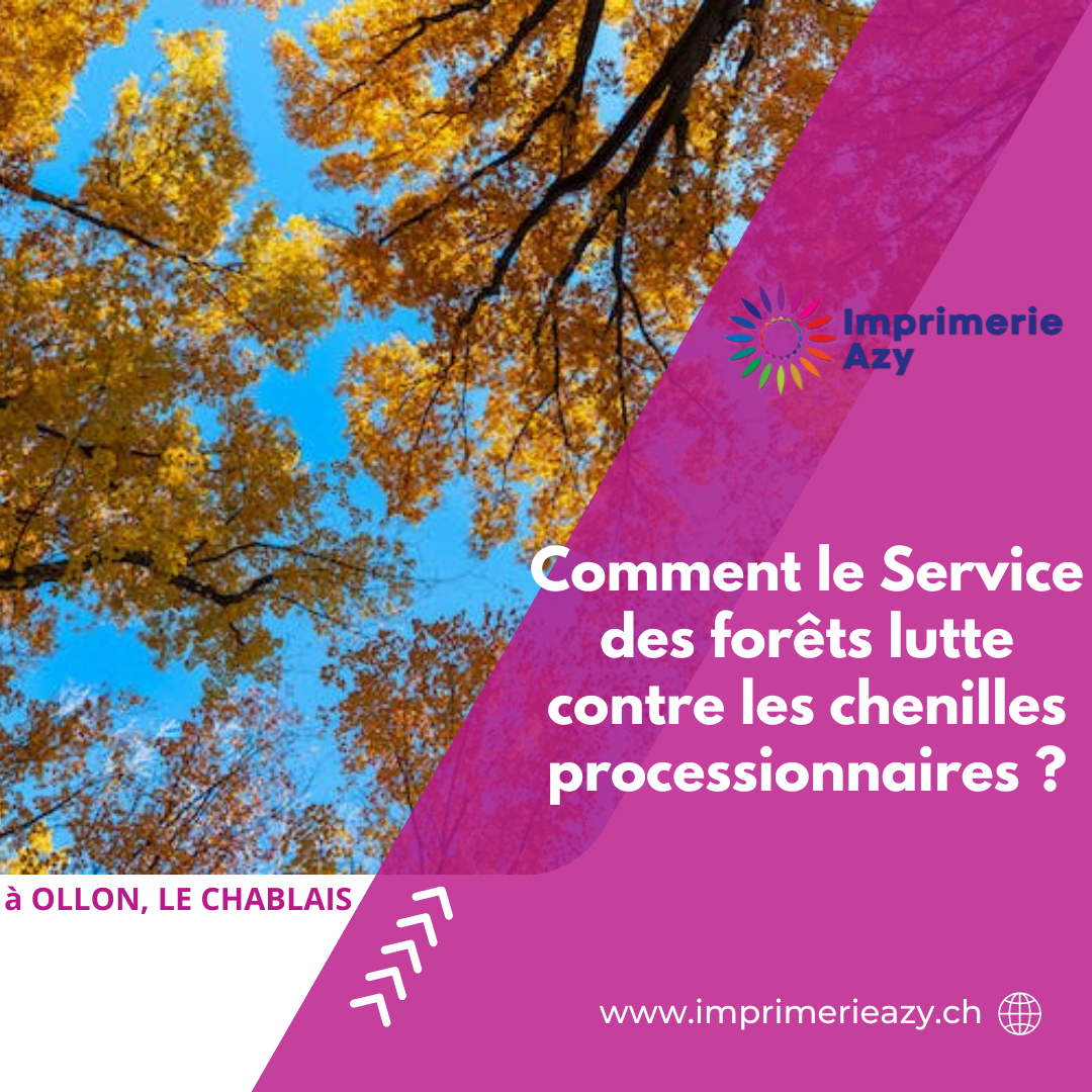 Comment le Service des forêts lutte contre les chenilles processionnaires (2)