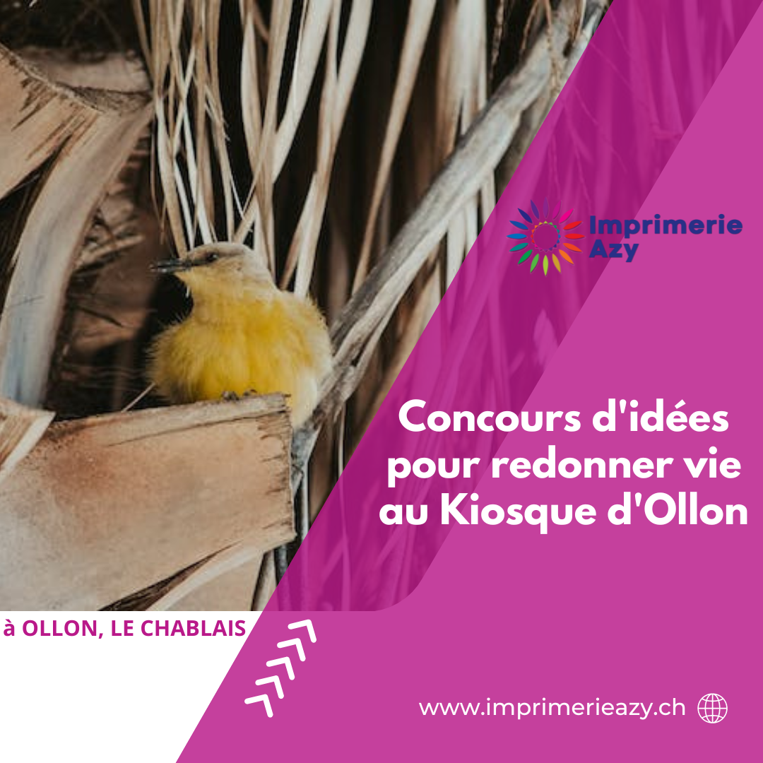 Concours d'idées pour redonner vie au Kiosque d'Ollon (1)