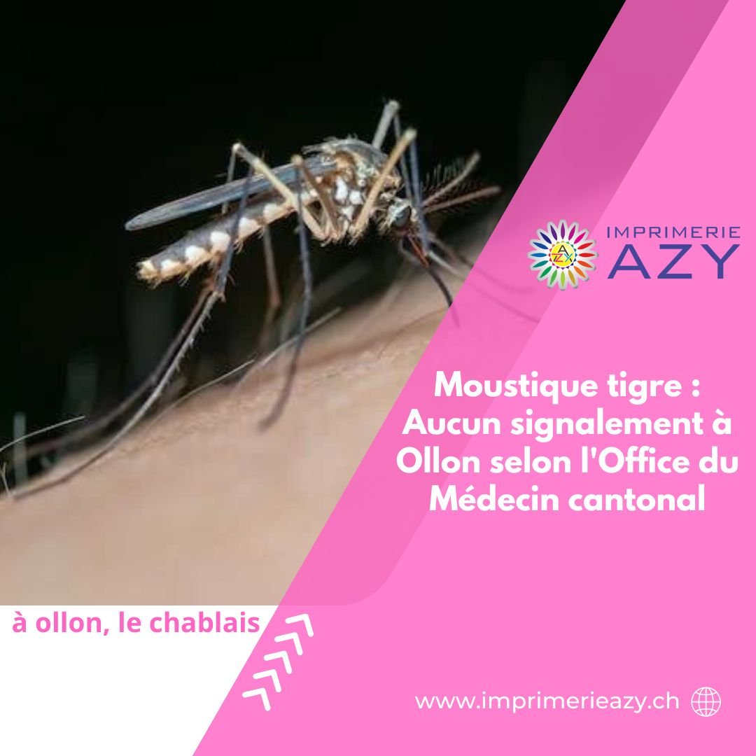 Moustique tigre Aucun signalement à Ollon selon l'Office du Médecin cantonal