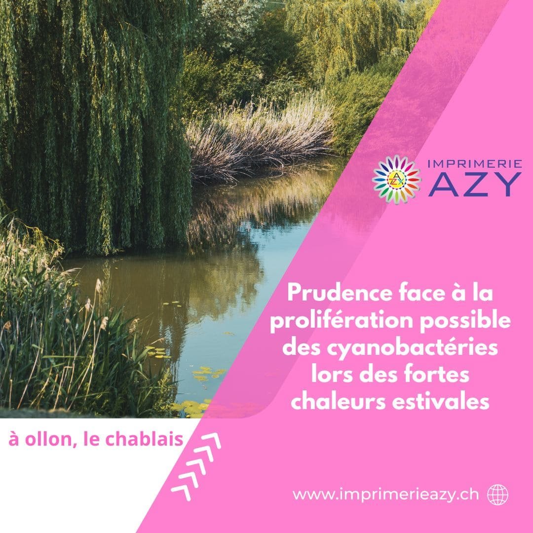 Prudence face à la prolifération possible des cyanobactéries lors des fortes chaleurs estivales (1) (1)