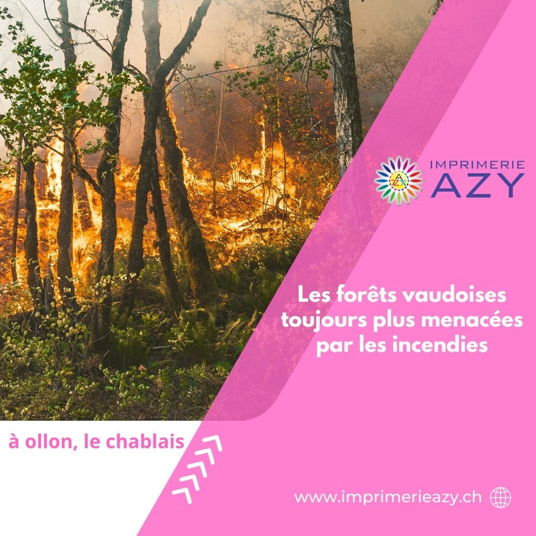 Les forêts vaudoises toujours plus menacées par les incendies (1) (1)