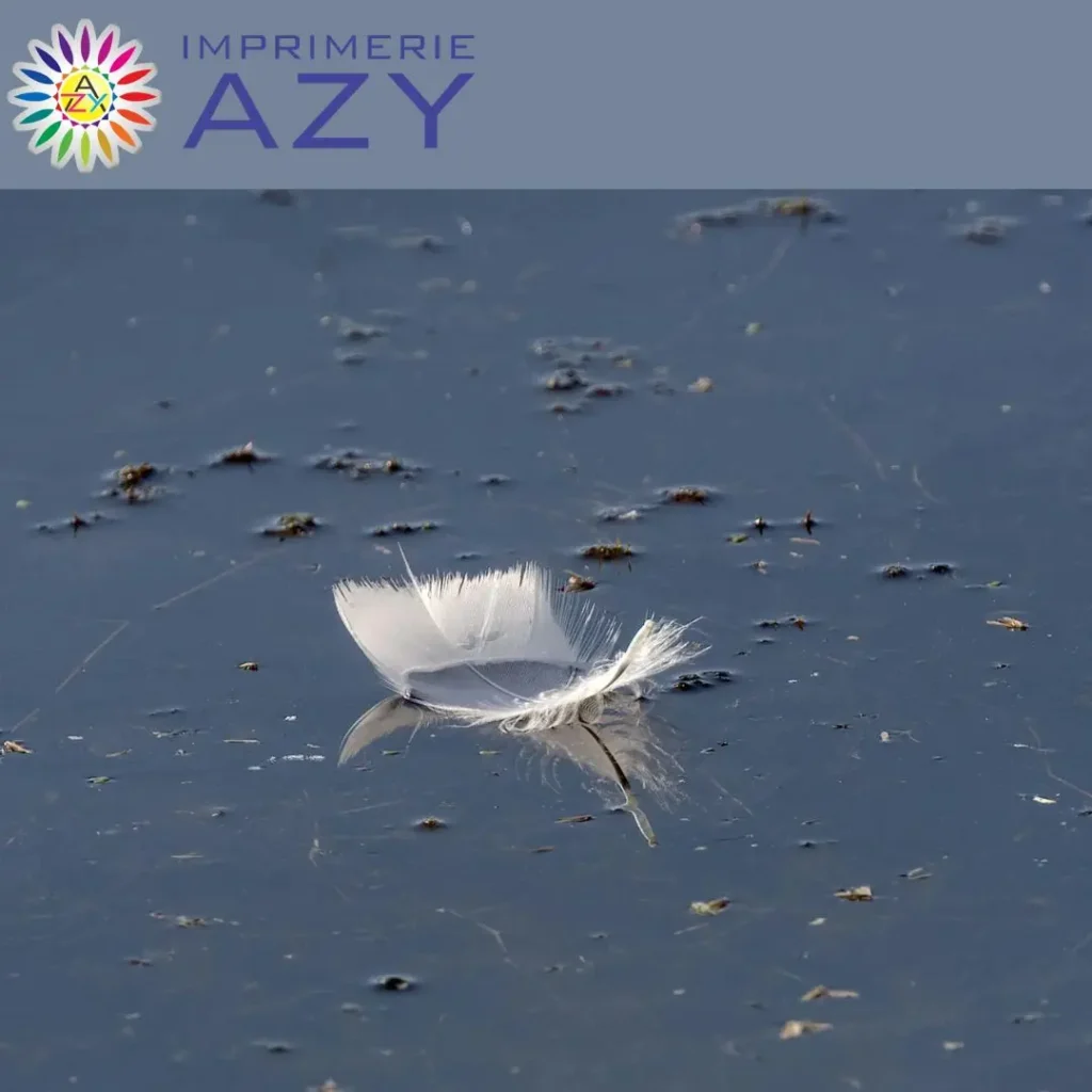 Lac avec de l'eau sale et des contaminants visibles à la surface